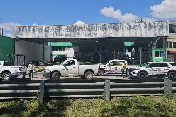 Los encargados de la empresa Clark The Forlift encontraron chapas forzadas y los cables de las cámaras de seguridad desconectados