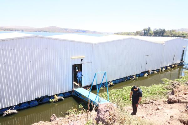 Los bloques de adoquín con el lirio se someterá a evaluación de resistencia para determinar si se puede usar para construir vialidades