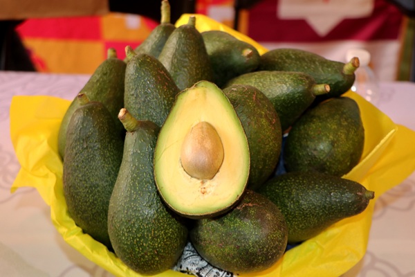 Atlixco te invita a vivir la Feria del Aguacate 2025, el próximo