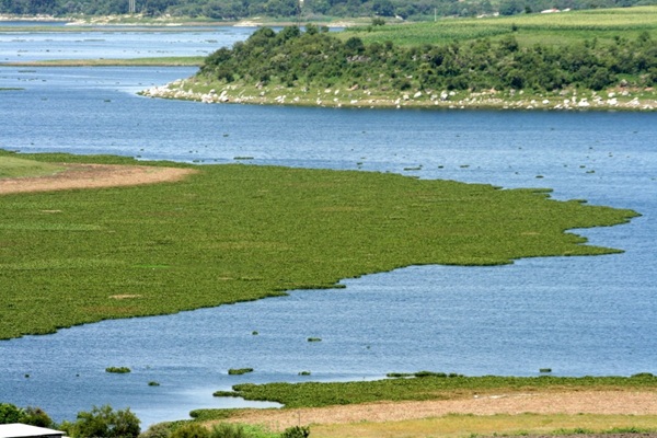 Con Plan Hídrico, gobierno federal y estatal rescatarán