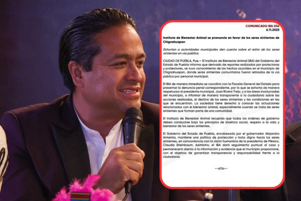 Se exigió al alcalde de Chignahuapan, Juan Rivera Trejo informar el destino o paradero de los perros callejeros que fueron levantados