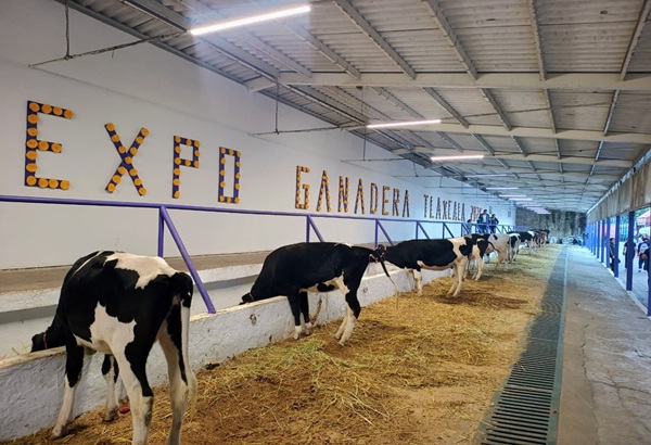 Garantiza SIA trato digno y responsable a ejemplares durante “Tlaxcala, la feria de ferias 2025”