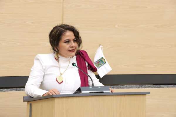 El Registro de Obligaciones Alimentarias será el Sistema de información pública que contenga la identificación de deudores alimentarios