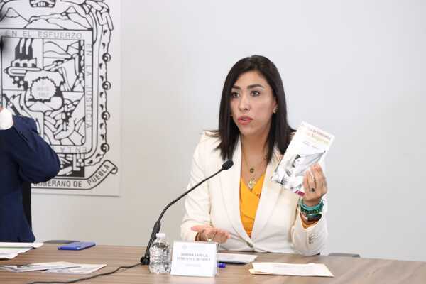 Los cambios del Código Penal del Estado son para proteger a las víctimas de violencia familiar y garantizar la seguridad en este núcleo