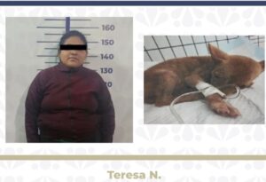 Juez de Puebla vincula a proceso a mujer que abandonó a cachorra en clínica veterinaria en la Romero Vargas