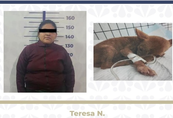 Juez de Puebla vincula a proceso a mujer que abandonó a cachorra en clínica veterinaria en la Romero Vargas