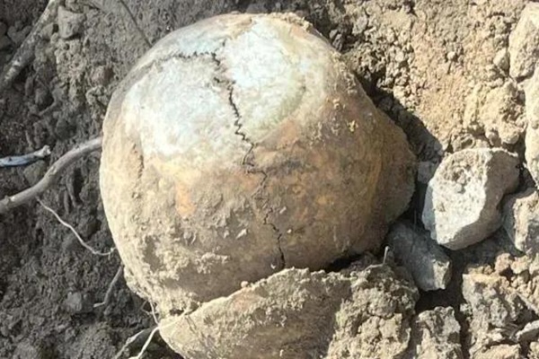 Profesor descubre cráneo humano al excavar en la Secundaria Técnica No. 22 de Panotla, Tlaxcala