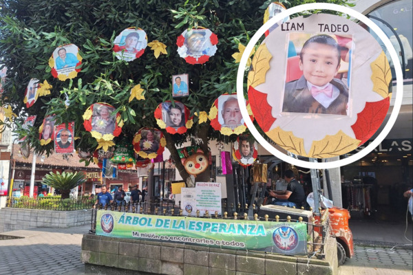 En la instalación del Árbol de la Esperanza 2025 en Huauchinango, la agrupación Buscadores de Paz colocó la imagen del menor Liam Tadeo