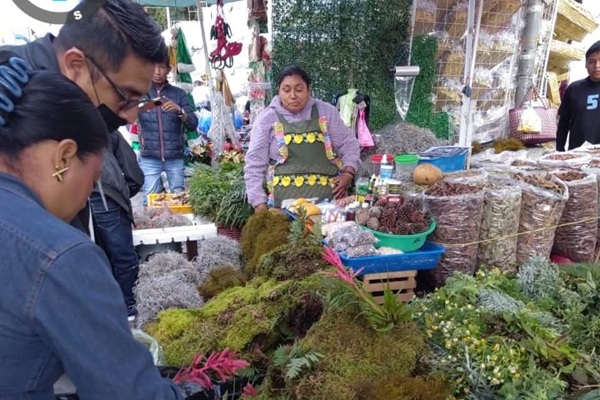 Decomisan casi 300 ejemplares de flora protegida en mercados de Tehuacán