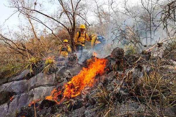 El estado de Puebla se ubicó como el séptimo con más incendios registrados en 2025, al acumular 304 siniestros, Tlaxcala acumuló 92