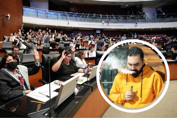 Las sanciones aplicarán únicamente para quienes, con fines de comercio, busquen adquirir, distribuir vapeadores y cigarrillos electrónicos