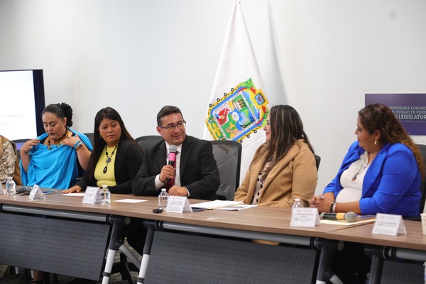 Reconocieron el papel de la Red Plural de Mujeres en la elaboración de propuestas para avanzar en la defensa de los derechos de las infancias