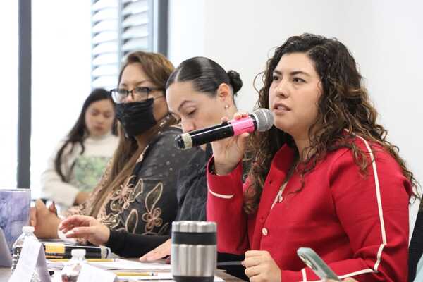 La Comisión aprobó un exhorto dirigido a los municipios incluidos en la Alerta de Violencia de Género en el estado para que rindan un informe