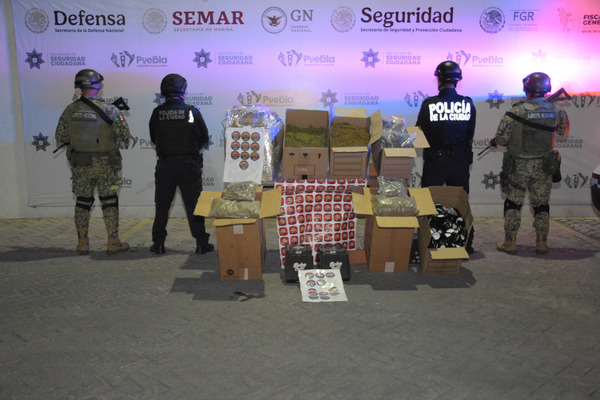 En un inmueble de La Paz que iba a ser alquilado, se encontraron cajas de cartón y la mayoría contenía diversas dosis de marihuana