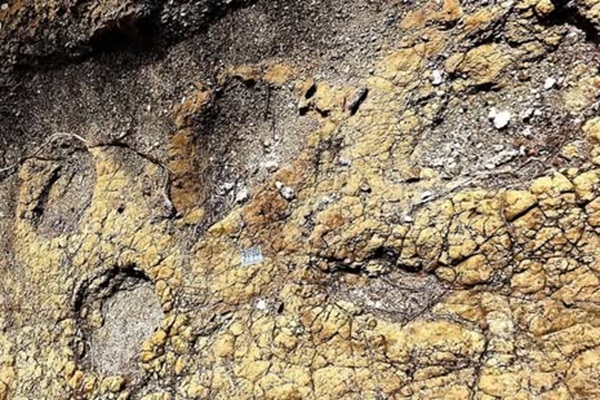 INAH suspende investigación de huellas de dinosaurio en Puebla por falta de recursos y seguridad