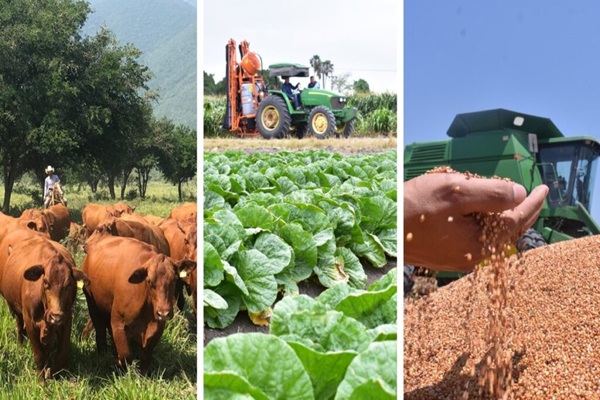 La balanza comercial agroalimentaria de México con el mundo se desplomó casi 50 por ciento (48.26 por ciento