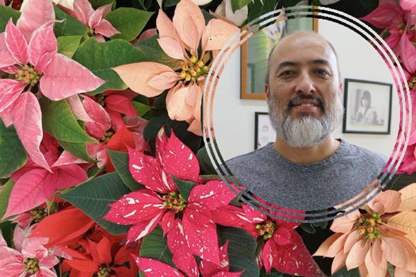 La flor de Nochebuena símbolo decembrino y orgullo de la biodiversidad mexicana