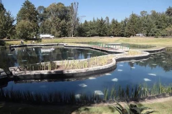 Los cinco parques de Puebla Capital te esperan en esta temporada decembrina