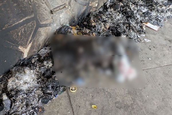 Propaet presenta denuncia penal ante FGJE de Tlaxcala por caso de perro calcinado en una banqueta