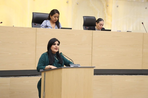 Propone diputada Delfina Pozos que municipios de Puebla apliquen y supervisen procedimientos para el desarrollo policial