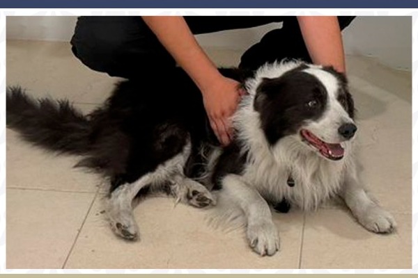Los turistas que viajaban en la autopista fueron interceptados por tres sujetos armados que los obligaron a hacer depósitos bancarios