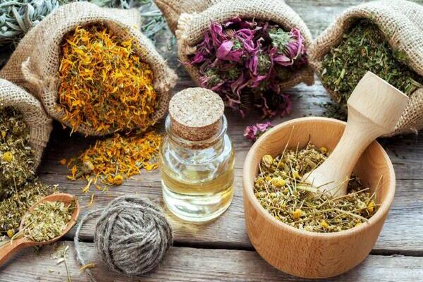 Dado que la mitad de la población mundial no tiene acceso a servicios de salud, la medicina tradicional se ha convertido en la única opción