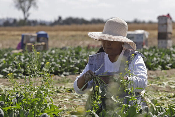 El PIB del estado de Puebla se estima en 882 mil millones de pesos y el de Tlaxcala en 151 mil 500 millones