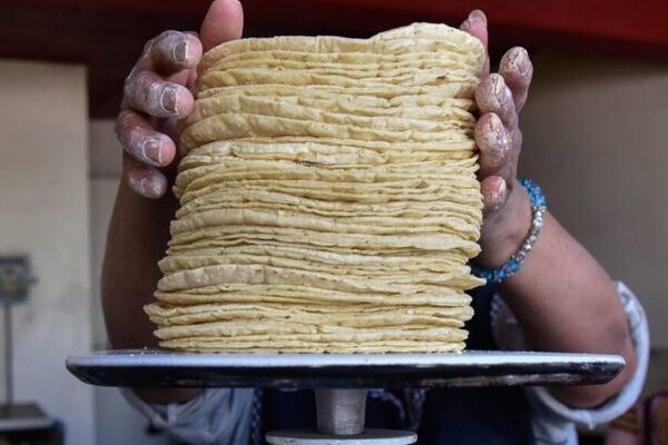 En el 2025 se adquirían, con el salario mínimo, 13.1 kilos de tortilla, pero ahora 2026 serán 14.8, pues tendrá un incremento del 13%