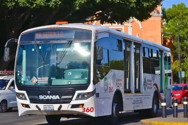 En el penúltimo mes del 2025, se registraron nueve millones 111 mil usuarios en las líneas 1, 2, 3 y 4 de la RUTA, según datos del INEGI