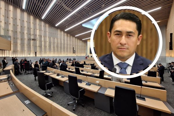 Germán Reyna y Herrero fue electo por siete años, por lo que su periodo iniciará este 15 de enero de 2026 para culminar en 2033