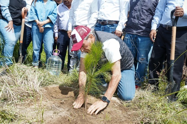 Se ha establecido la meta de plantar un mínimo de 100 mil árboles, reforzando las acciones de reforestación en la ciudad de Puebla