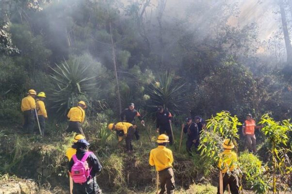 Se registra incendio forestal en Chilchotla; se dañan 10 hectáreas de matorral y arbustos