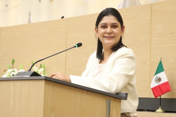 Reconocer la rapiña como delito, propone diputada Ana Lilia Tepole en el Congreso de Puebla