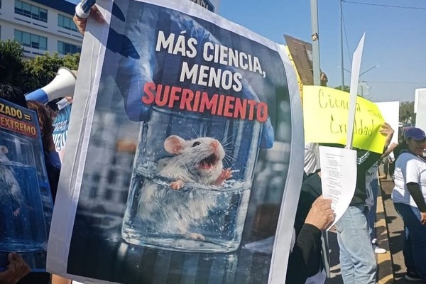 Integrantes del Movimiento Animalista de Puebla mencionaron que fueron respaldados y que sostuvieron un diálogo con autoridades de BUAP