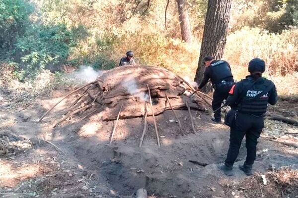 La SSP de Puebla localizó y eliminó seis hornos clandestinos, utilizados para procesar madera obtenida de la tala no autorizada