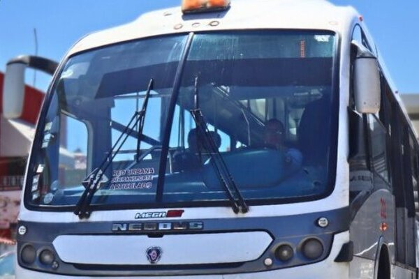 En terminales y unidades de RUTA se colocaron avisos sobre la campaña "Sin Tarjeta No Hay Ingreso" y se vendieron plásticos durante 19 días