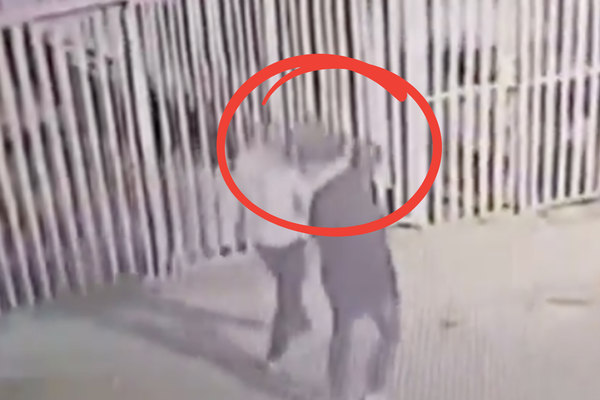 Falsos repartidores de flores asaltan una casa en la Unidad Banamex, en Puebla