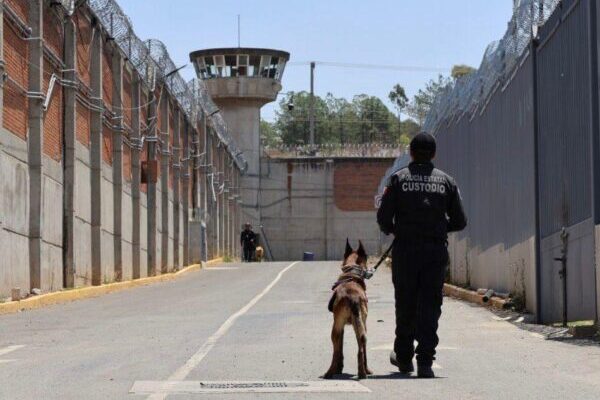 Unidad Cinotáctica K9 del penal de Tepexi de Rodríguez obtiene certificación: SSP Puebla