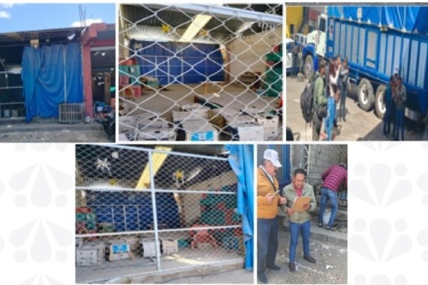 Restituye FGE Piebla inmueble en la Central de Abasto de Huixcolotla que fue despojado a su propietario