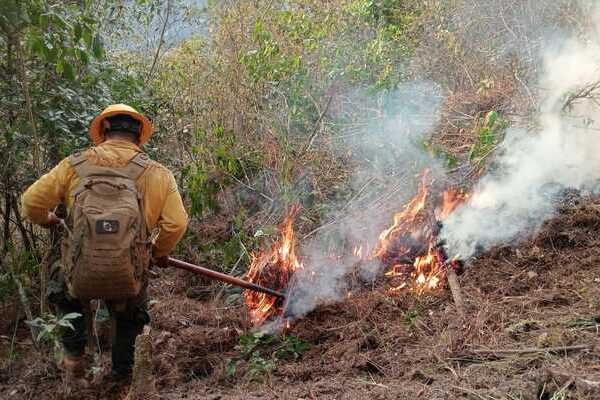 Puebla registra primeros 6 incendios forestales del 2026; de marzo a mayo, serán meses críticos: Protección Civil