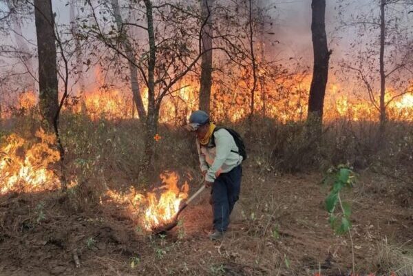 SMA Tlaxcala impulsa el Programa Estatal de Manejo del Fuego 2026–2030