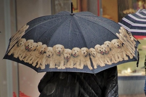 ¡Alerta! Frente Frío 27 causará lluvias muy fuertes a intensas en Sierra Nororiental y Valle de Serdán, en Puebla