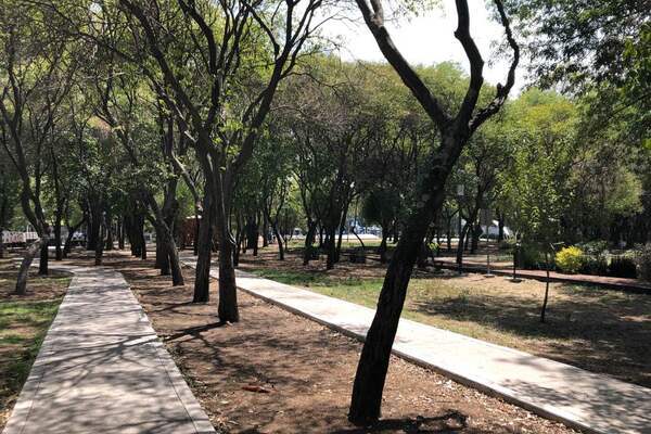 La petición en Change.org de Arborismo Ciudadano para exigir que sean escuchados los ambientalistas lleva recoletadas 340 firmas