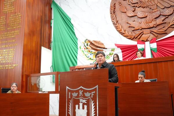 Con el objetivo de fortalecer la legitimidad del proceso legislativo, propuso establecer como principio rector el modelo Parlamento Abierto