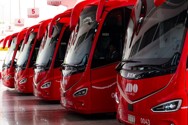 Ofrecerán servicios de Transporte Temporal en cuatro corredores para subsanar el déficit de 3 mil unidades en la capital y zona metropolitana