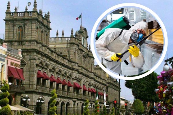 Ayuntamiento de Puebla lanza licitación para fumigación de mercados e inmuebles municipales