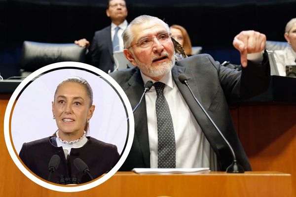 Adán Augusto López notificó a la secretaría de Gobernación, Rosa Icela Rodríguez, su pretensión de retirarse de la coordinación de Morena