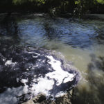 La denuncia contra empresas que realizan descargas ilegales y contaminan el afluente del río Atoyac se efectuó por "daño ambiental"