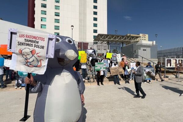 Animalistas y PETA realizaron una movilización en la sede del Poder Judicial de la Federación para frenar pruebas de laboratorios con ratones