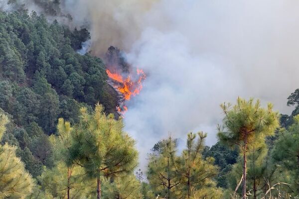 Alejandro Armenta supervisó directamente las acciones de combate y control del incendio forestal en la Sierra Negra, al sur de Puebla